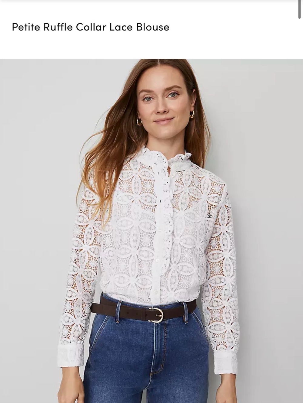 Ann Taylor Petite Ruffle Collar Lace Blouse
